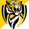 FC THE TIGERS 
