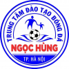 U9 NGỌC HÙNG HÀ NỘI