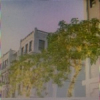 Ngô Tuấn S1