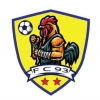 FC 1993