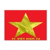 Fc Việt Nam 36