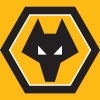 Wolves Hampton