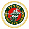 AN VIỆT FC