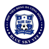 U15+ BLUE SKY VFF