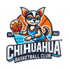 Chihuahua 1