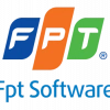 FSOFT3