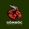 Gömböc FC