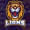FC Lions 