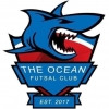 U19 The Ocean