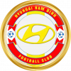 FC Hyundai Nam Định