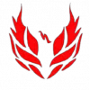 FC PHOENIX