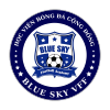 U9 BLUE SKY VFF