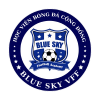 U11 BLUE SKY VFF