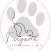 Tigrand Pet House FC
