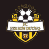 FC PES SƠN DƯƠNG
