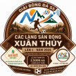  GIẢI BÓNG ĐÁ S5 CÁC LÀNG TRANH CÚP SÂN BÓNG XUÂN THỦY LẦN I 