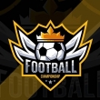 APP-TWR Soccer League
