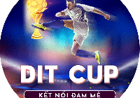 ĐIỀU LỆ TỔ CHỨC GIẢI BÓNG ĐÁ DIT CUP 2020