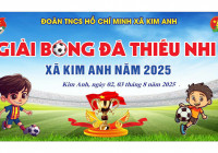 ⚽ GIẢI BÓNG ĐÁ THIẾU NHI XÃ KIM ANH NĂM 2025 SẼ CHÍNH THỨC KHAI MẠC VÀO SÁNG 02/8/2025! ????