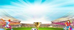 VFC CUP 2024