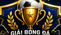 GIẢI BÓNG ĐÁ U15 THANH HÓA SEASON 1 NĂM 2026 
