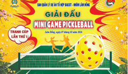 GIẢI ĐẤU MINI GAME PICKLEBALL