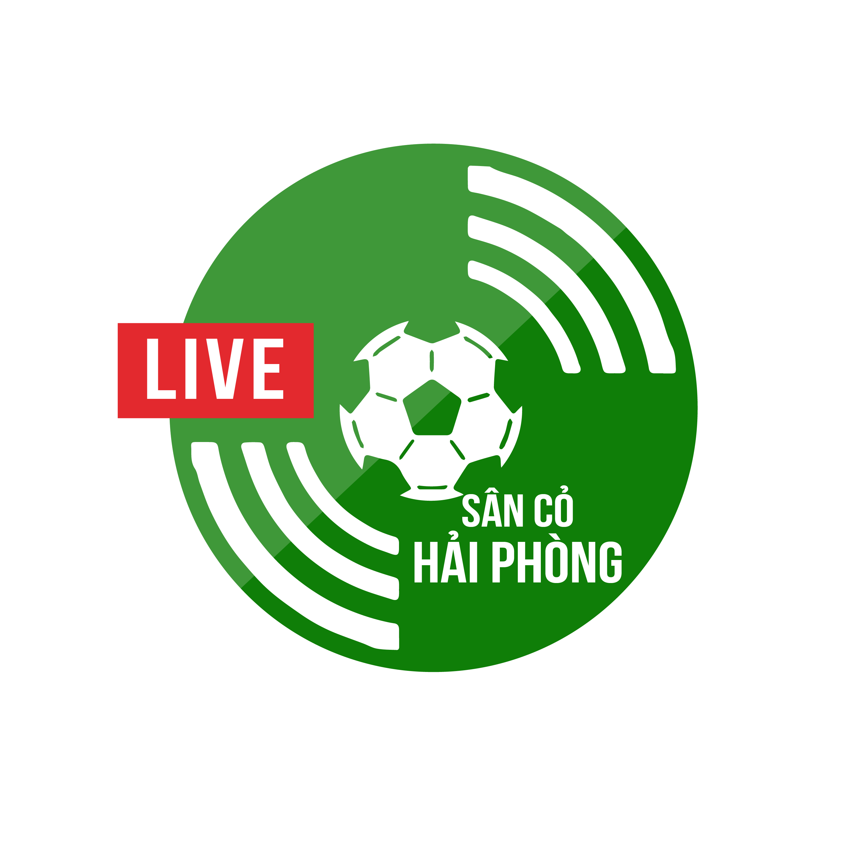  SÂN CỎ HẢI PHÒNG
