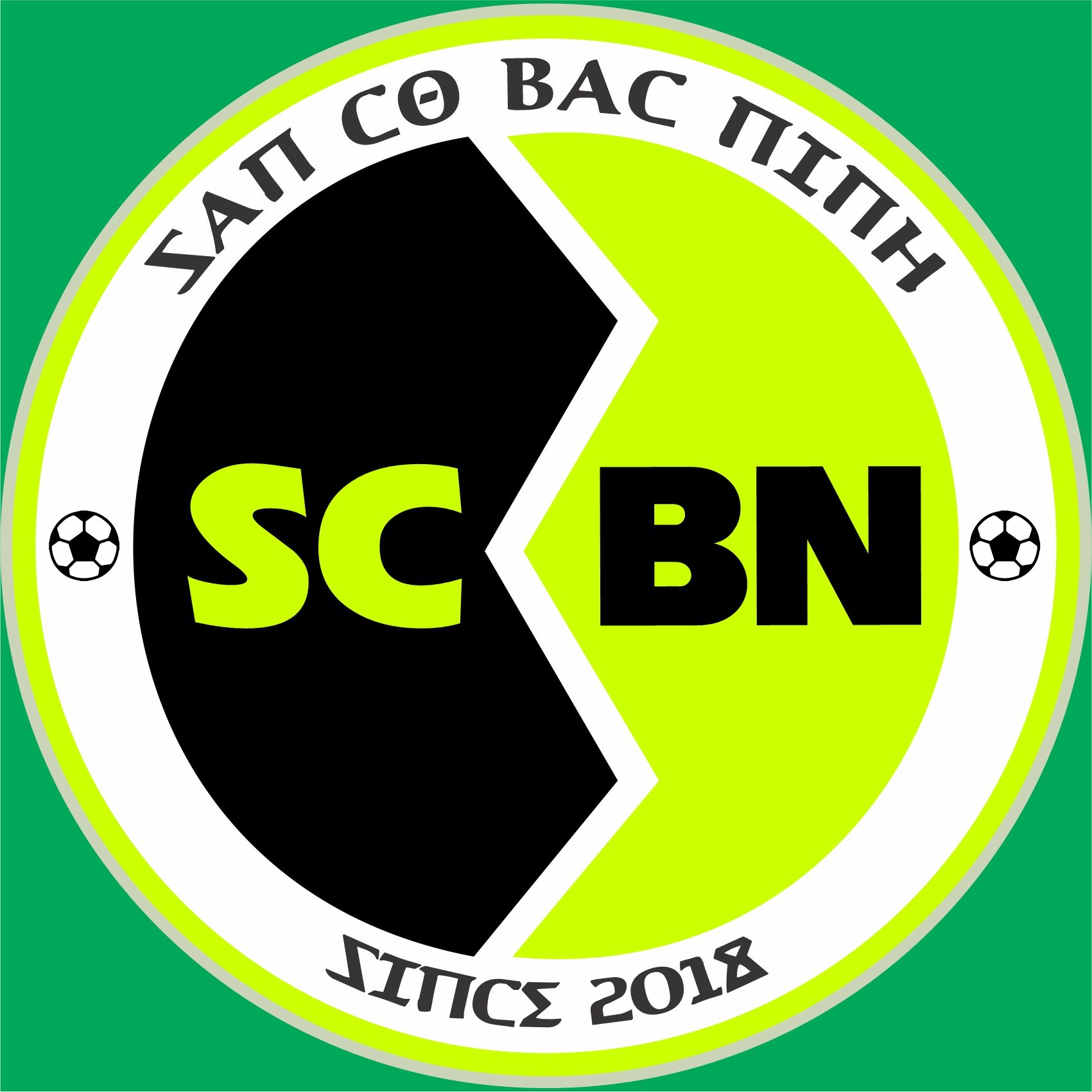 Sân cỏ Bắc Ninh