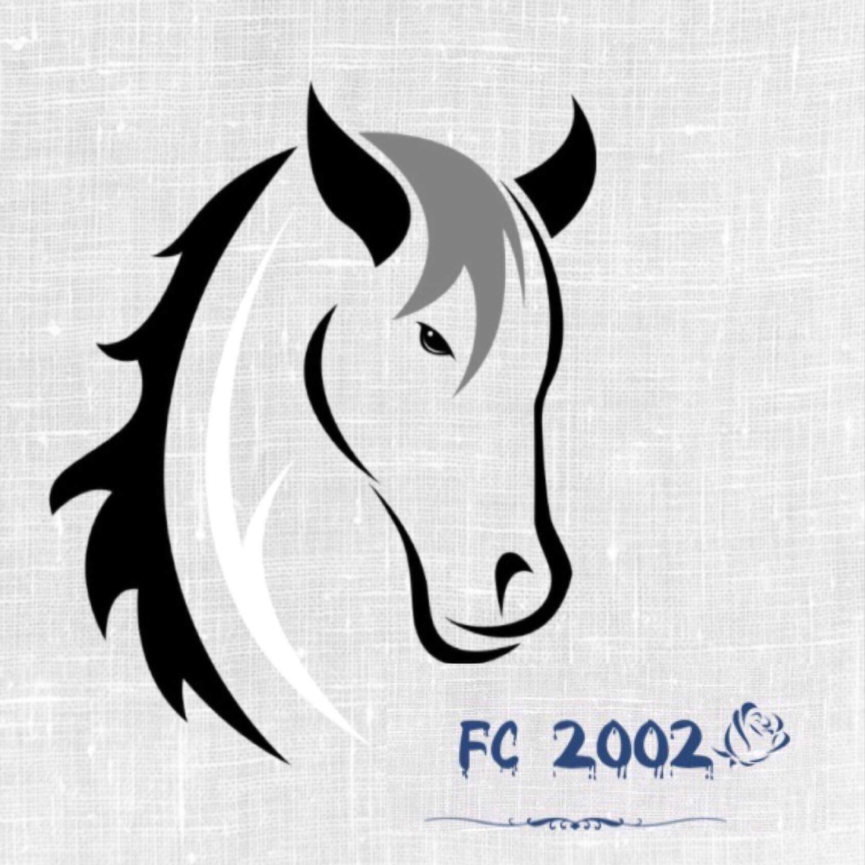 FC 2002