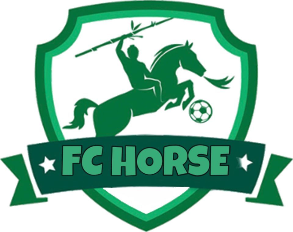 FC BÌNH SƠN - 2002