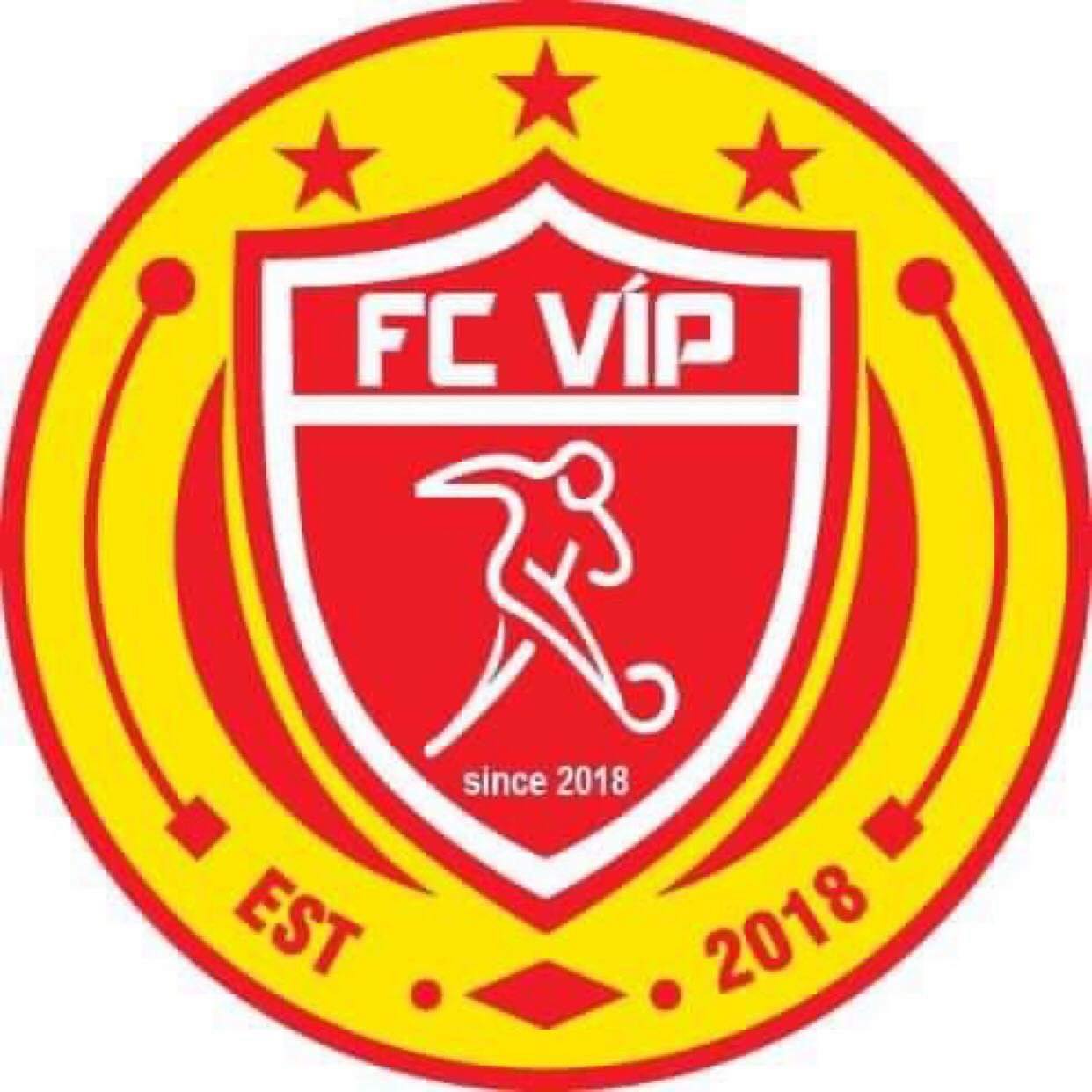 FC TRẺ VIP 