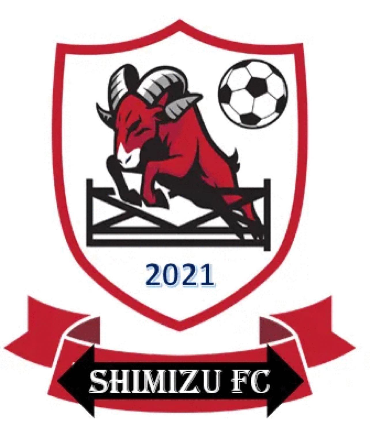 SHIMIZU FC 