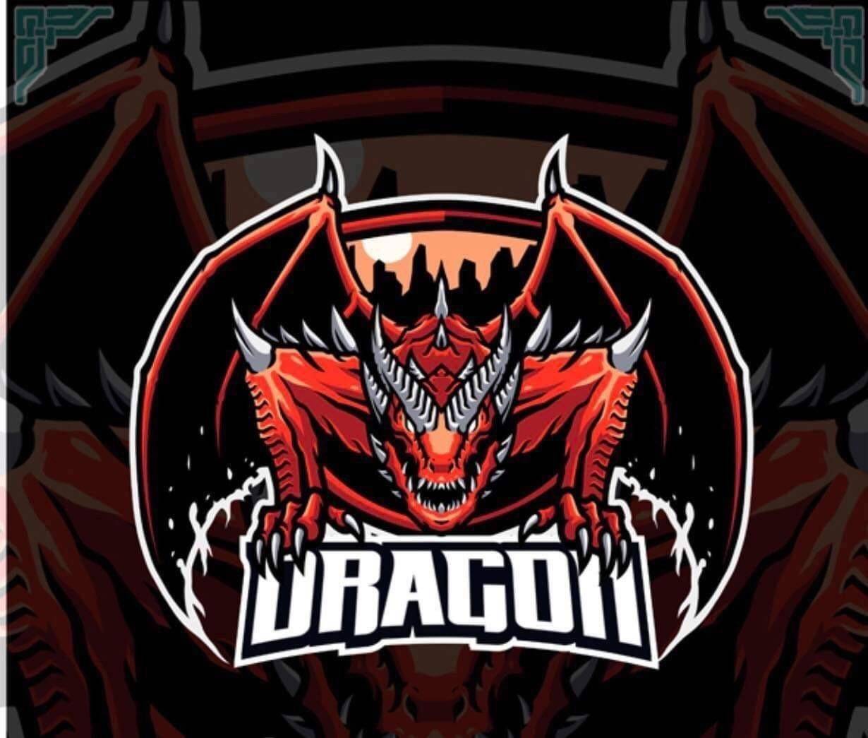 FC Dragons