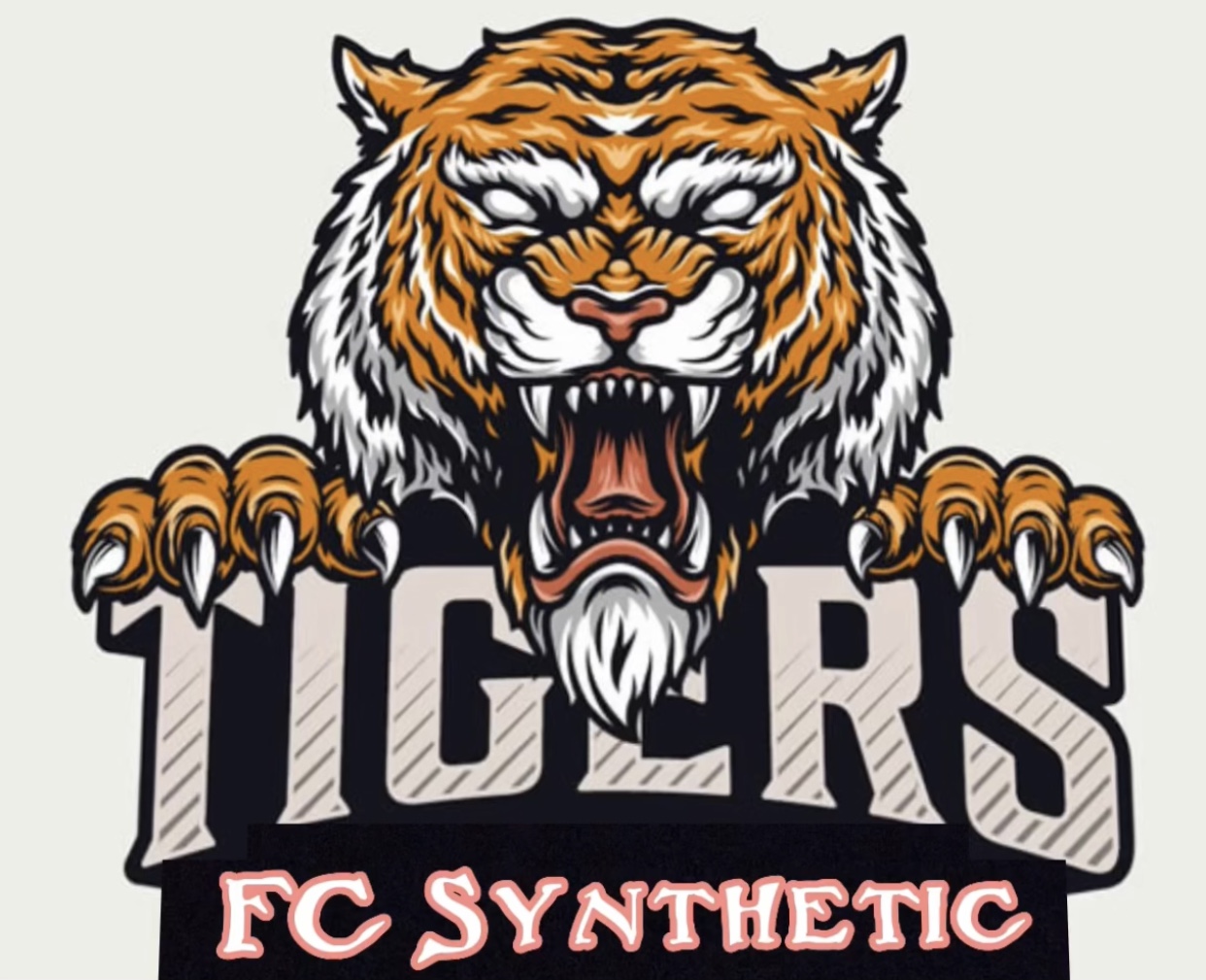 FC SYNTHETIC