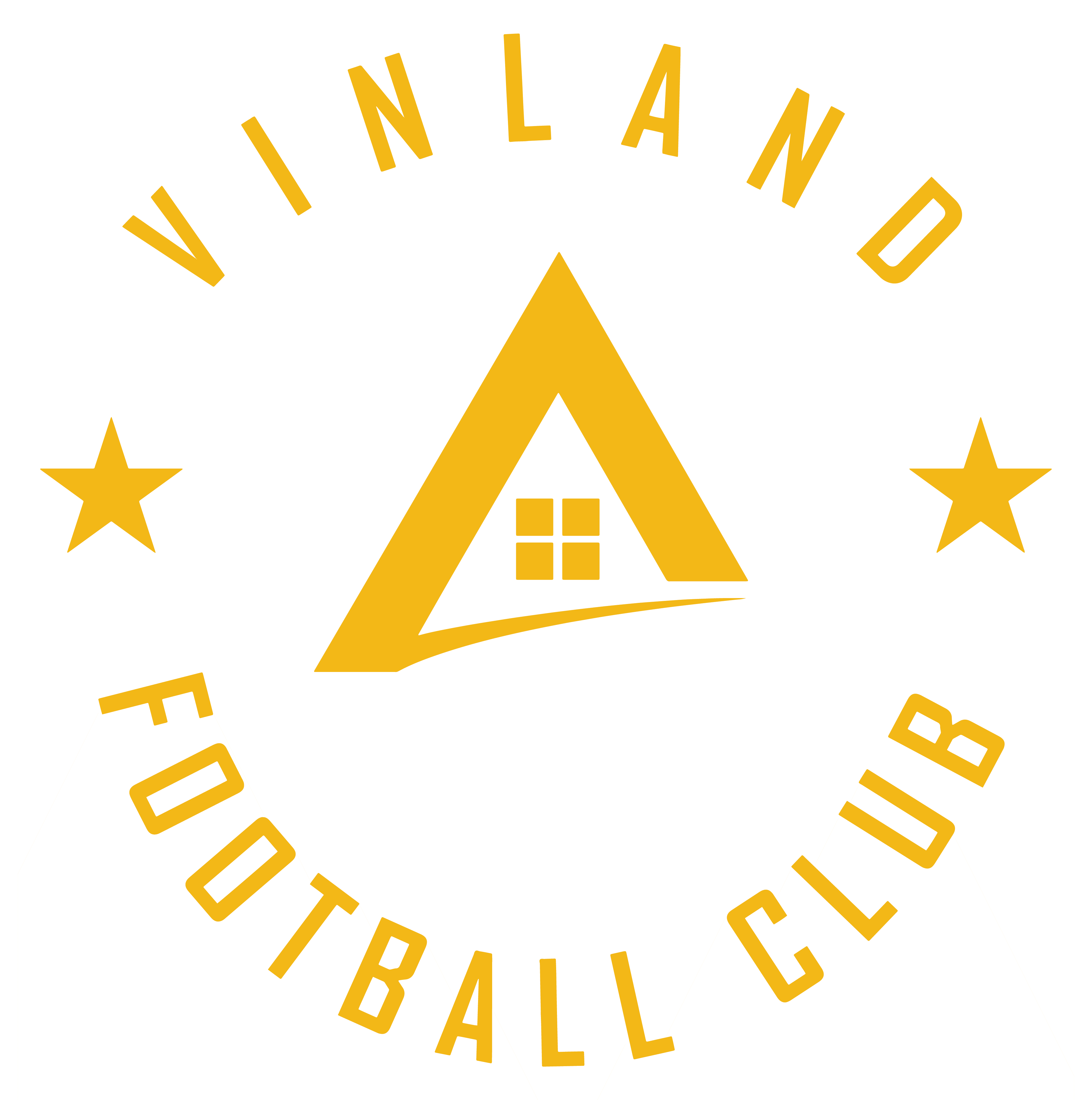 FC VINLAND