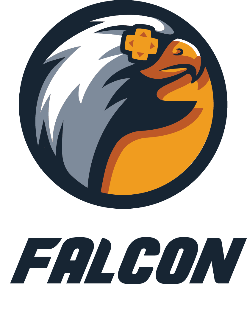 Falcon Game Studio