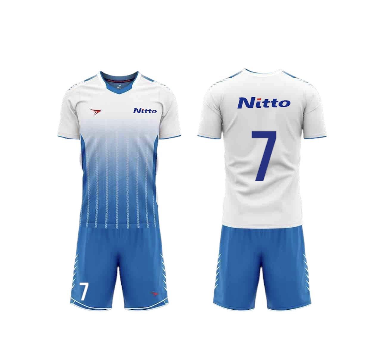 Nitto Denko