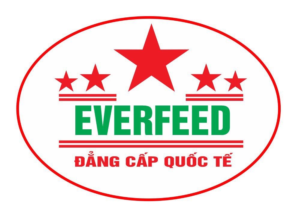 Công Ty EVERFEED
